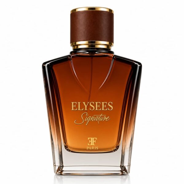 tinywow_1022e0a0-2e0c-4e19-8a9a-6ea65aabb893_90249471 ELYSEES SIGNATURE BROWN Eau de parfum 80% vol 100ml