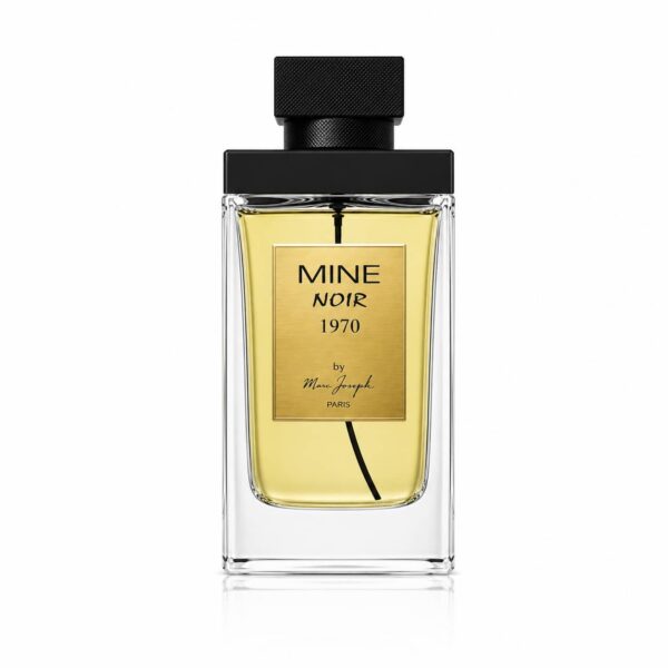 MINE NOIR 1970 PARIS Eau de Parfum Homme 100ml