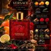 Versace Eros Flame Tester Original 100ml avec boîte tester Versace Eros Flame Tester Original 100ml avec boîte tester