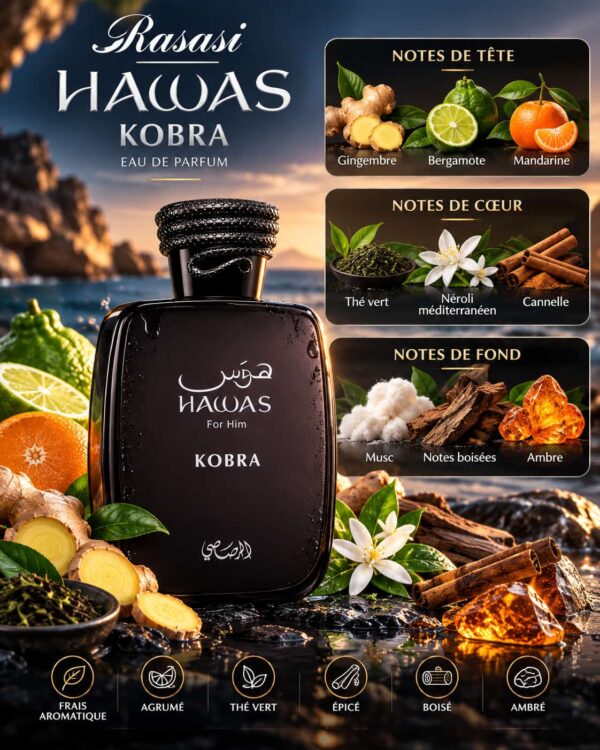 Rasasi Hawas Kobra – gingembre, bergamote, thé vert, néroli et ambre